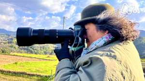 中井精也の絶景！てつたび　長崎　ときめきの春