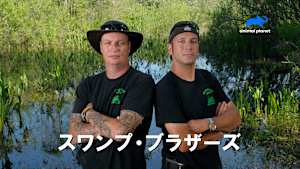 スワンプ・ブラザーズ