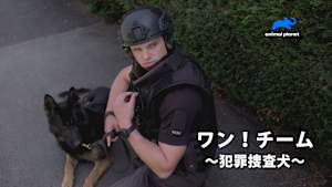ワン！チーム～犯罪捜査犬～