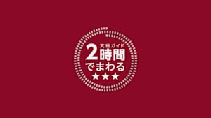 究極ガイド　２時間でまわる☆☆☆　２時間でまわるメトロポリタン美術館