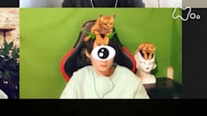 １００カメ　ネットの高校