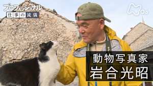 プロフェッショナル　岩合光昭（動物写真家）