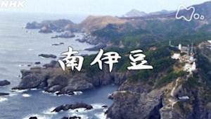 よみがえる新日本紀行　南伊豆