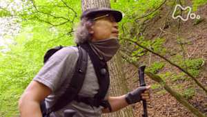 吉田類のにっぽん百低山　川苔山・東京