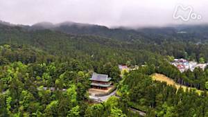 小さな旅　お大師さんに結ばれて　～和歌山県　高野山麓～