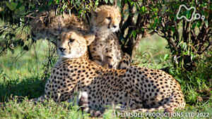 地球ドラマチック　生命の躍動　太陽をめぐる地球の１年　～春～