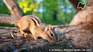 地球ドラマチック　生命の躍動　太陽をめぐる地球の１年　～秋～