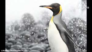 地球ドラマチック　生命の躍動　太陽をめぐる生き物たちの１２か月