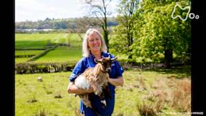 地球ドラマチック　山の獣医師たち～北アイルランド～