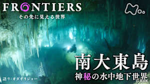 フロンティア　南大東島　神秘の水中地下世界