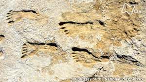 ＢＳ世界ドキュ　よみがえる氷河時代の足跡（あしあと）