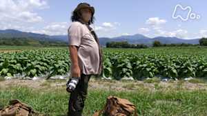 中井精也の絶景！てつたび　熊本　風薫る！火の国水の国