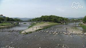 ドキュメント７２時間　京都　青春の鴨川デルタ