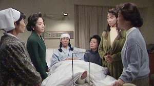 渡る世間は鬼ばかり（橋田壽賀子ドラマ） 第1シリーズ 第十六回