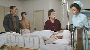 渡る世間は鬼ばかり（橋田壽賀子ドラマ） 第1シリーズ 第七回