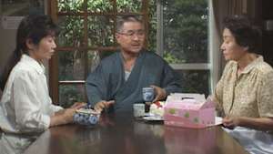 渡る世間は鬼ばかり（橋田壽賀子ドラマ） 第1シリーズ 第三回