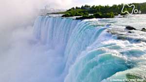 地球ドラマチック　ナイアガラの滝　～生き物たちの四季～