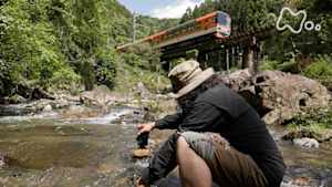 中井精也の絶景！てつたび　京都　新緑あざやか　古都の鉄路