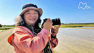 中井精也の絶景！てつたび　初夏の新潟　輝く水田　山と海と