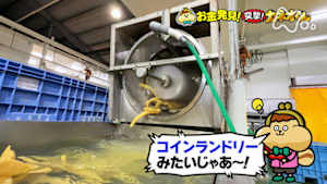 有吉のお金発見　突撃！カネオくん　ごはんのおとも「漬けもの」のお金のヒミツ