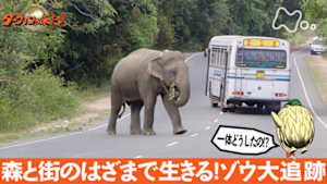 J:COM STREAM 視聴サイト