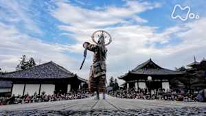 新日本風土記　奈良　菩薩が来た道