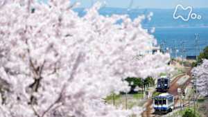 中井精也の絶景！てつたび　春の石川　希望の鉄路を行く！