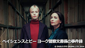 ペイシェンスとビー ヨーク警察文書係の事件録