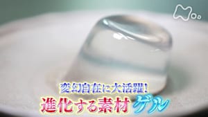 サイエンスＺＥＲＯ　変幻自在に大活躍！　進化する素材　ゲル