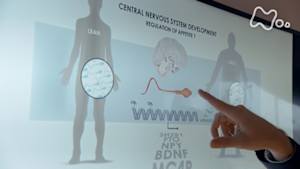 シリーズ　人体ＩＩ　遺伝子　特別版　第２集　“ＤＮＡスイッチ”が運命を変える