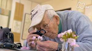 ＥＴＶ特集　ひなたの氷　九二歳、桜守の遺言