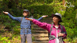 にっぽん百低山　弥彦山・新潟