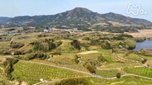 にっぽん百低山　角田山（かくだやま）・新潟