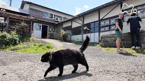 ドキュメント２０ｍｉｎ．銀河を焼いて　時々ネルソン