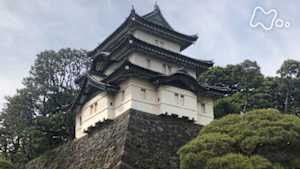 絶対行きたくなる！ニッポン不滅の名城　江戸城