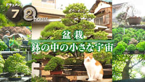 ドキュメント７２時間　盆栽　鉢の中の小さな宇宙