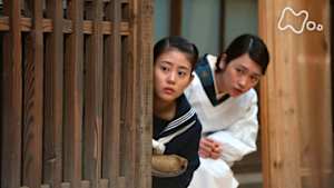 とと姉ちゃん　　（２６）常子、新種を発見する