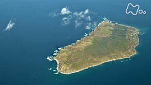 小さな旅　海鳥　舞うころに　～北海道　天売島（てうりとう）～