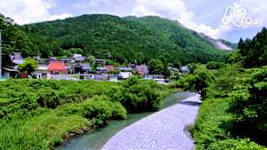 小さな旅　花の山　見つめて　～滋賀県　伊吹山～