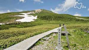 小さな旅　小さき花　らんまんと　～石川県　白山～