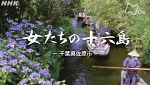 よみがえる新日本紀行　女たちの十六島～千葉県佐原市～