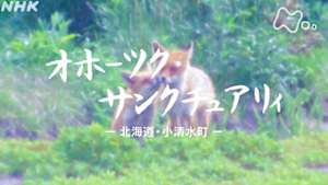 よみがえる新日本紀行　オホーツク・サンクチュアリィ－北海道・小清水町－