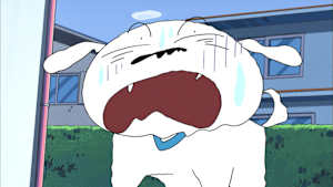 シロの一日だゾ