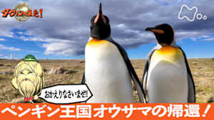 ダーウィンが来た！　ペンギン王国　オウサマの帰還！