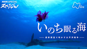 Ｎスペ　いのち眠る海　～最新調査で明かす太平洋戦争～