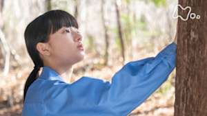 おかえりモネ　　（３５）サヤカさんの木