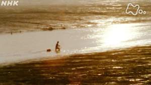 よみがえる新日本紀行　干潟の海～有明海～