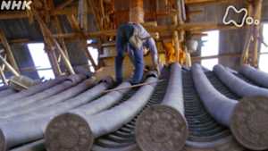 よみがえる新日本紀行　私の塔　私のいかるが～奈良県斑鳩町～