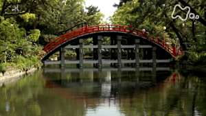 美の壺　今に花咲く　大阪の美