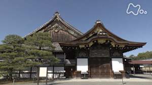 絶対行きたくなる！ニッポン不滅の名城　二条城